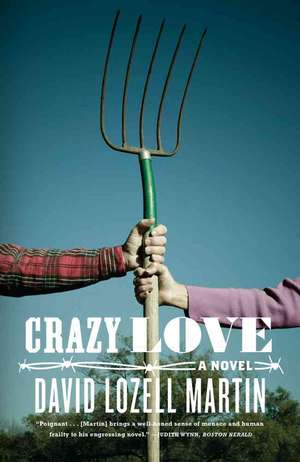 Crazy Love: A Novel de David Lozell Martin