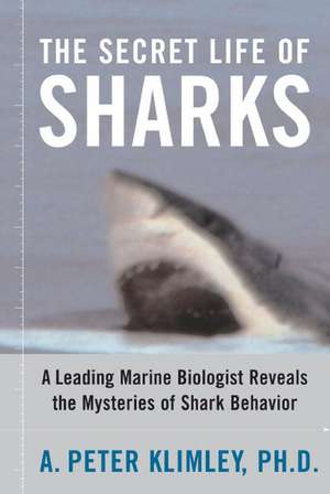 The Secret Life of Sharks: A Leading Marine Biologist Reveals the Mysteries of Shark Behavior de Ph.D. A. Peter Klimley Ph.D.