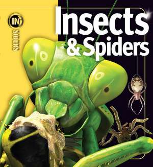 Insects & Spiders de Noel Tait