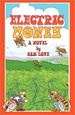 Electric Honey: Life Cycle - Business Cycle - Stock Cycle de Sam Love