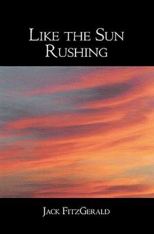 Like the Sun Rushing: The Fast and Effective Road Less Traveled for Creating 400 Times Greater Profits and Effectiveness de Jack Fitzgerald