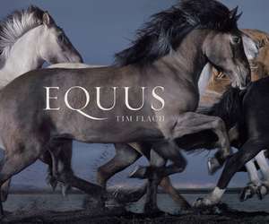 Equus (Mini) de Tim Flach