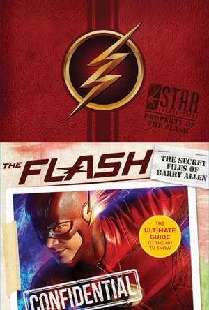 The Flash de Warner Brothers