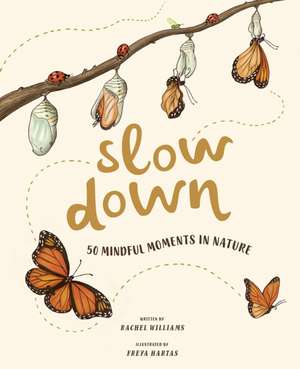 Slow Down de Rachel Williams