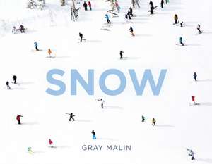 Gray Malin: Snow de Gray Malin