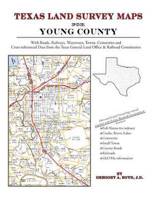 Texas Land Survey Maps for Young County de Gregory a. Boyd J. D.