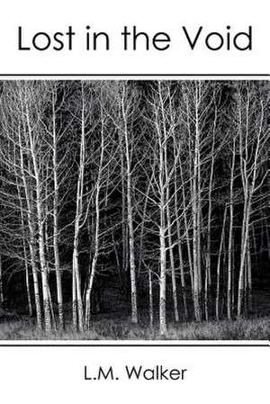 Lost in the Void de L. M. Walker