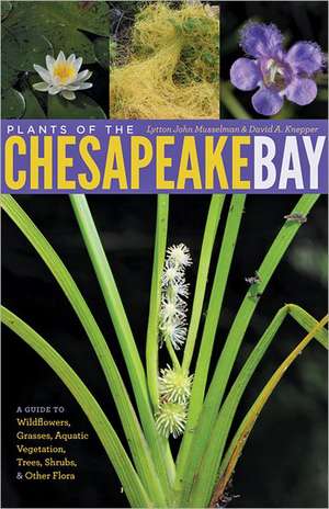 Plants of the Chesapeake Bay – A Guide to Wildflowers, Grasses, Aquatic Vegetation, Trees, Shrubs and Other Flora de Lytton John Musselman