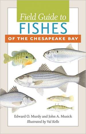 Field Guide to Fishes of the Chesapeake Bay de Edward O. Murdy