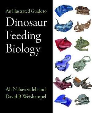 An Illustrated Guide to Dinosaur Feeding Biology de Ali Nabavizadeh