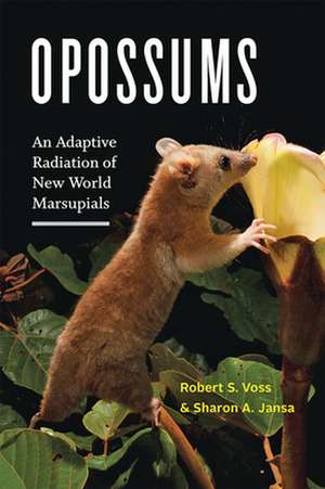 Opossums – An Adaptive Radiation of New World Marsupials de Robert S. Voss