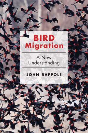 Bird Migration de John H Rappole