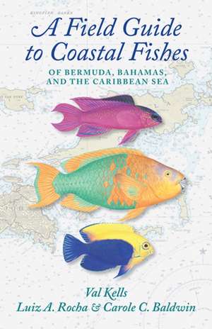 A Field Guide to Coastal Fishes of Bermuda, Bahamas, and the Caribbean Sea de Valerie A. Kells