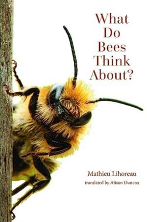 What Do Bees Think About? de Mathieu Lihoreau