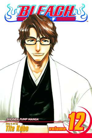 Bleach, Vol. 12 de Tite Kubo