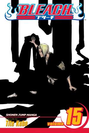 Bleach, Volume 15 de Tite Kubo