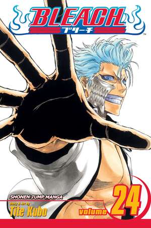 Bleach, Volume 24 de Tite Kubo