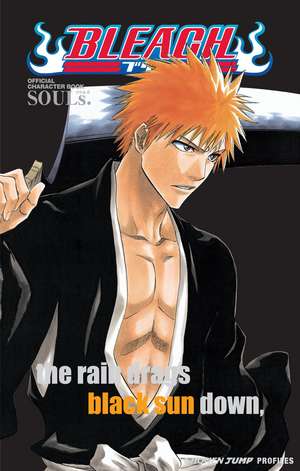 Bleach SOULs. Official Character Book de Tite Kubo