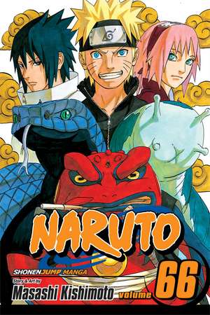 Naruto, Vol. 66 de Masashi Kishimoto