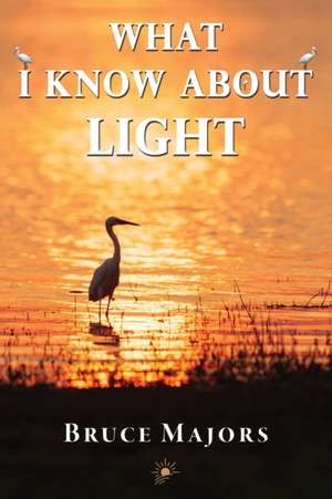 What I Know About Light de Bruce Majors