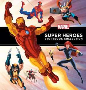 Marvel Super Heroes Storybook Collection de DBG