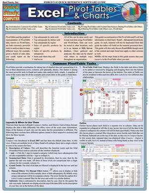 Excel: Pivot Tables & Charts de John Hales