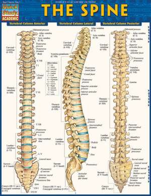 The Spine de BarCharts Inc