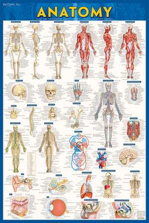 Anatomy-Paper de BarCharts Inc