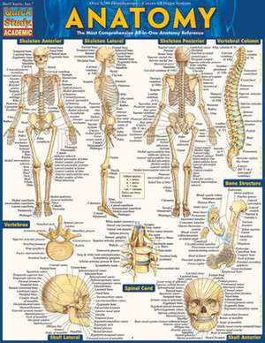 Anatomy de BarCharts Inc