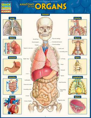 Anatomy of the Organs de Vincent Perez