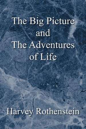 The Big Picture and the Adventures of Life de Harvey Rothenstein