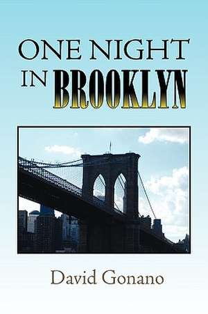 One Night in Brooklyn de David Gonano