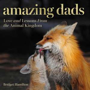 Amazing Dads de Bridget Hamilton