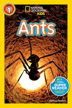 Ants de Melissa Stewart