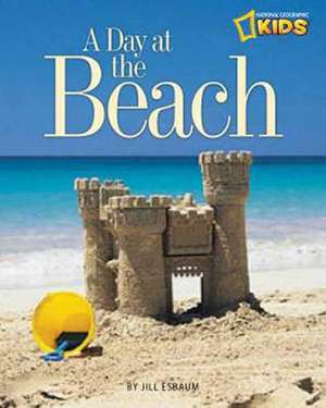 A Day at the Beach de Jill Esbaum