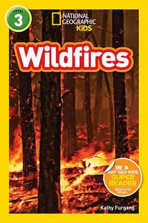 Wildfires de Kathy Furgang