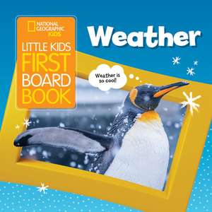 Little Kids First Board Book: Weather de Ruth A Musgrave