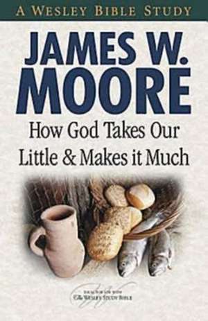 How God Takes Our Little and Makes It Much de James W. Moore