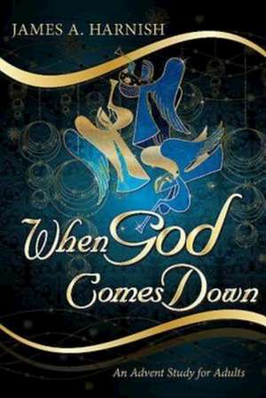 When God Comes Down de James A. Harnish