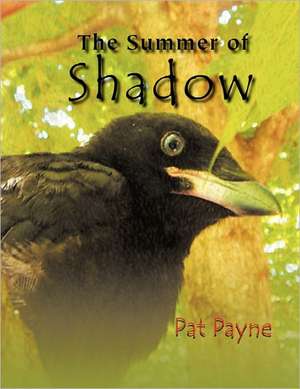 The Summer of Shadow de Pat Payne