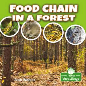 Food Chain in a Forest de Alan Walker