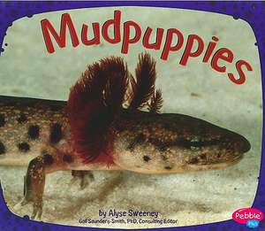 Mudpuppies de Alyse Sweeney