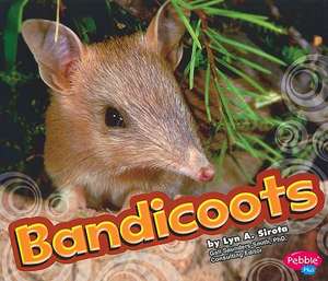 Bandicoots de Lyn A. Sirota