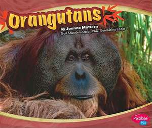 Orangutans de Joanne Mattern