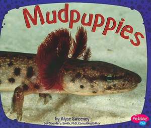 Mudpuppies de Alyse Sweeney