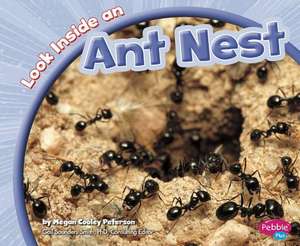 Look Inside an Ant Nest de Megan Cooley Peterson