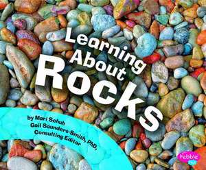 Learning about Rocks de Mari C. Schuh