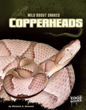 Copperheads de Melanie A. Howard