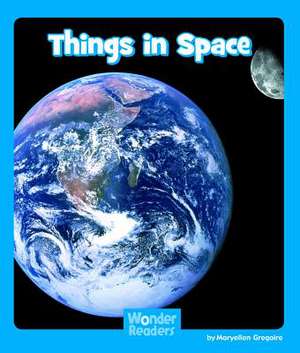 Things in Space de Maryellen Gregoire