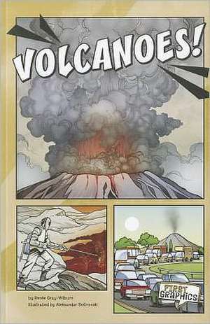 Volcanoes! de Renee Gray-Wilburn